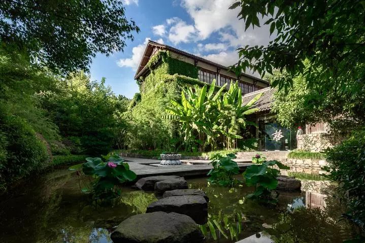 灵隐深处竟然藏着一座蹦迪盒子！蔓越莓味的野格你肯定没喝过！新店