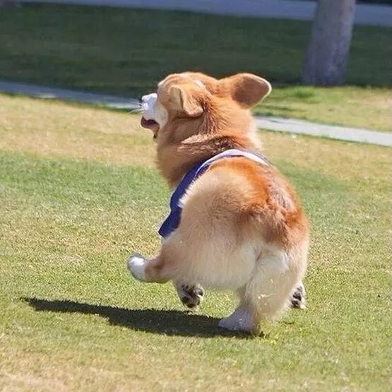 为什么有人把朋友圈设成三天可见,微信怎样把一个人设成三天可见