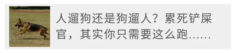 为什么有人把朋友圈设成三天可见,微信怎样把一个人设成三天可见