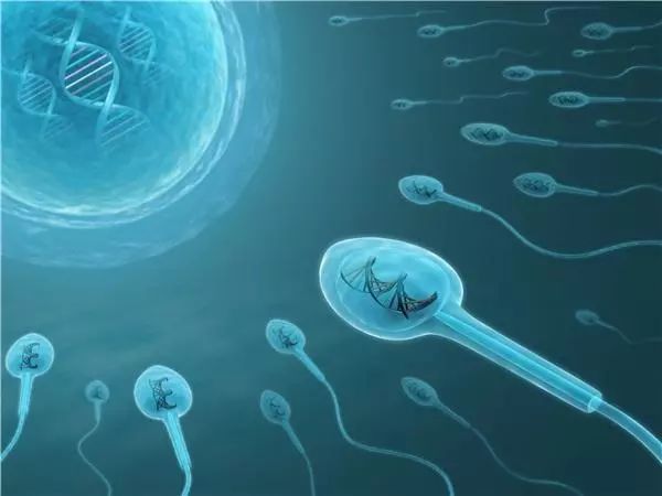 精子检查流程图解,精子质量检测仪器价格