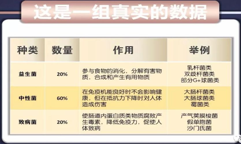 益生菌挑选指南|其实你喝的养乐多都是......