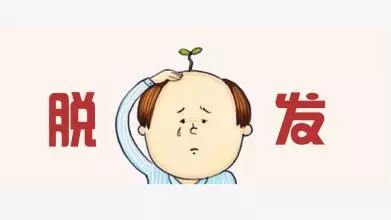 防脱发最好的中药方剂,治疗防脱发的中药