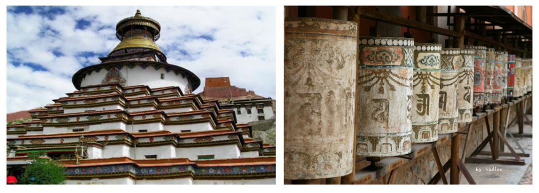 我们的城市病了怎么办,我们的城市病了英文视频