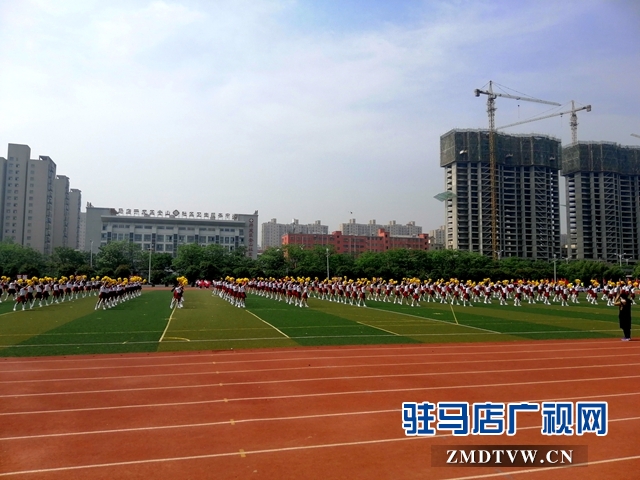 驻马店市市长杯足球赛参赛名单,驻马店第三届市长杯校园足球比赛