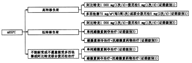 前列腺癌转移的治疗原则,高危转移性前列腺癌药物治疗