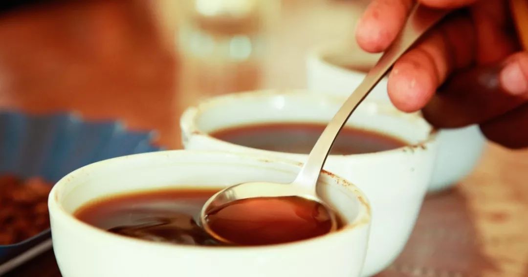 系统性的咖啡品尝鉴定方式——CoE杯测表格应该怎么打分？