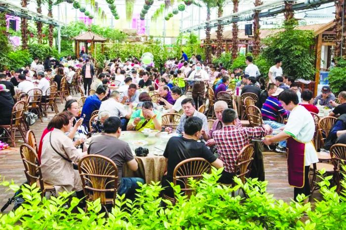 亳州凤凰古城,亳州最具代表的美景