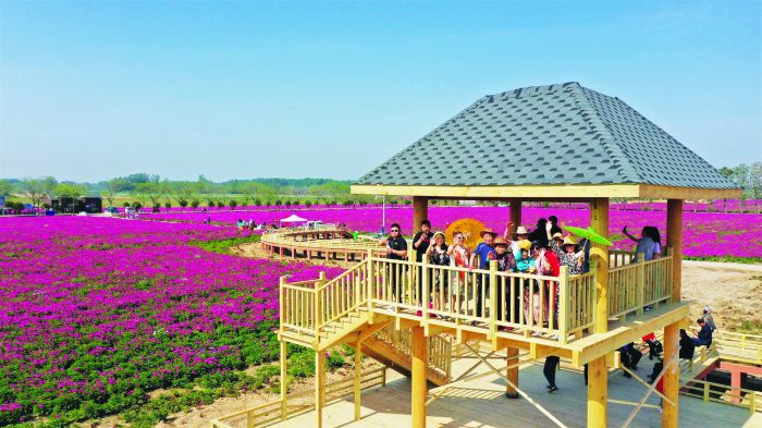 亳州凤凰古城,亳州最具代表的美景