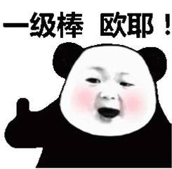 东莞参保人险种缴费明细表下载,东莞个人参保缴费明细查询