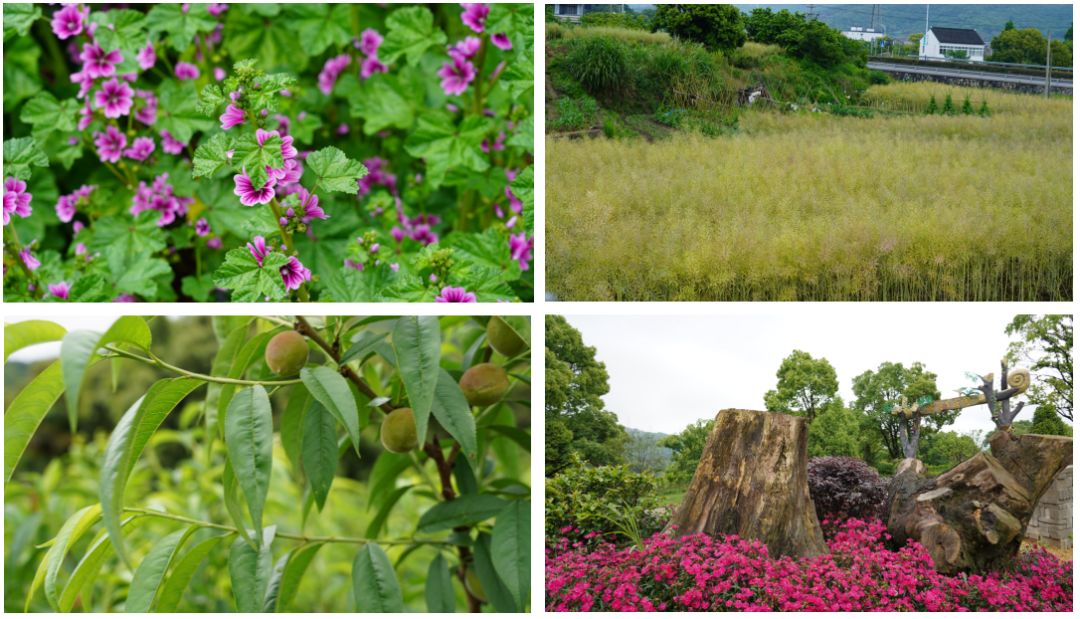 涓虹埍濂旇窇鍏泭褰╃エ,涓虹埍濂旇窇鍏泭娲诲姩2017娣卞湷