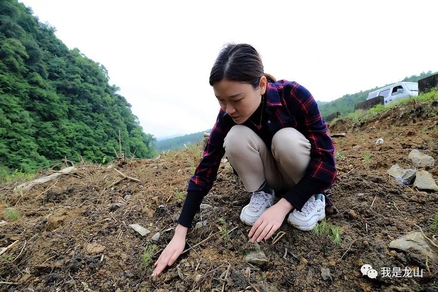 “卖蘑菇的女博士”“人民的好队长”，靛房人为何这样称呼他们？