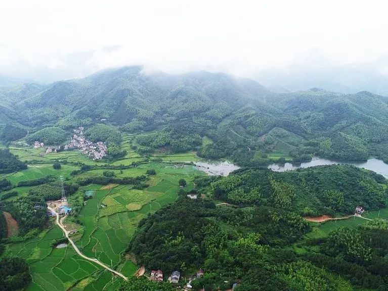 徽姑娘农家乐颍上电话,徽姑娘农家乐芜湖