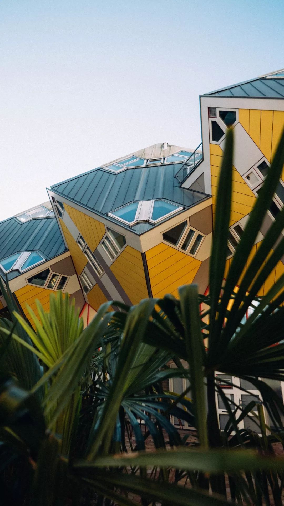 深度玩家自驾川藏,深度玩家自驾游