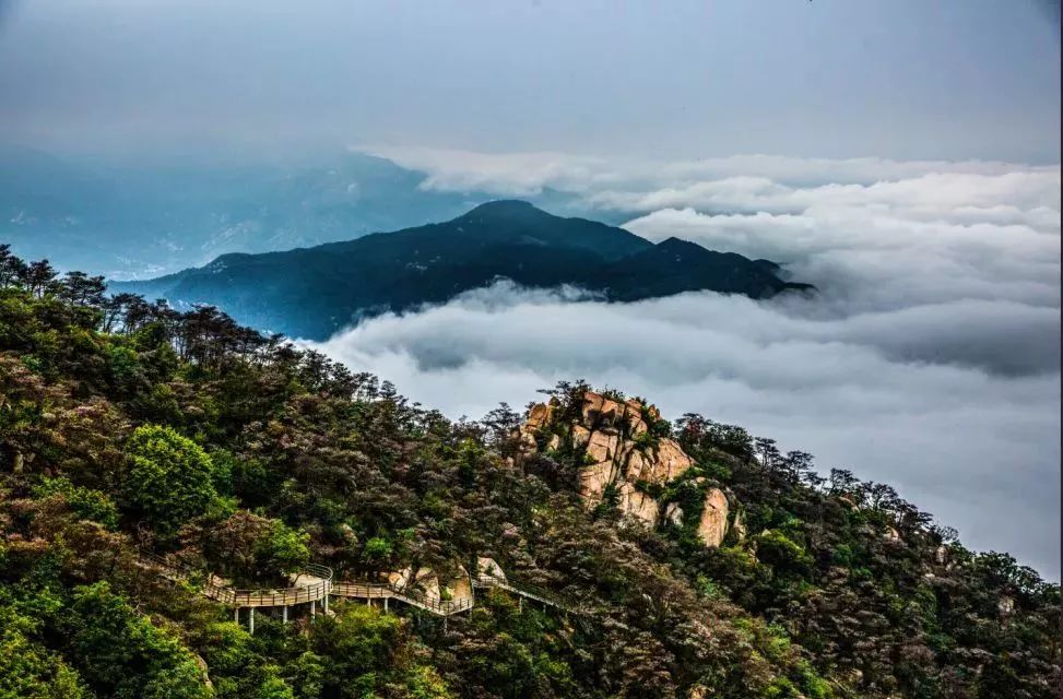 中国旅游日景区半价活动,旅游日半价景点西安
