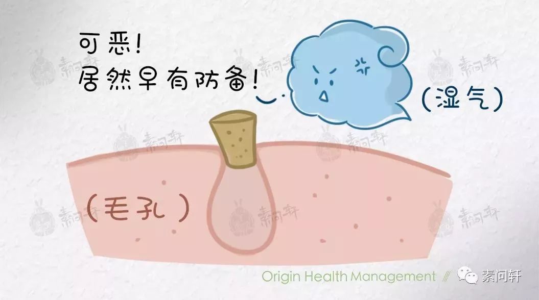 如何判断湿热还是湿寒体质,怎么判断是湿热体质