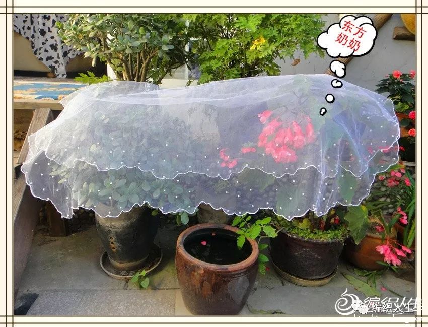 30鍘樼背濠氱罕濞冭。閽╅拡鏁欑▼,濠氱罕閽╅拡鍥捐В