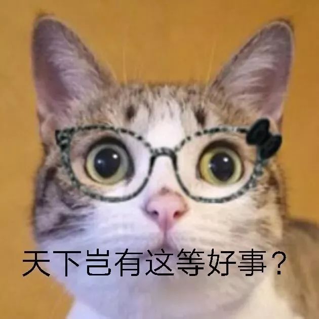 你的加拿大Costco会员卡上海也可以刷！但在中国办卡竟然比加拿大还便宜...