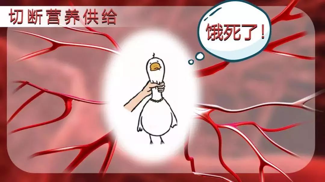 长宁医院,上海哪个医院治疗肿瘤权威最高