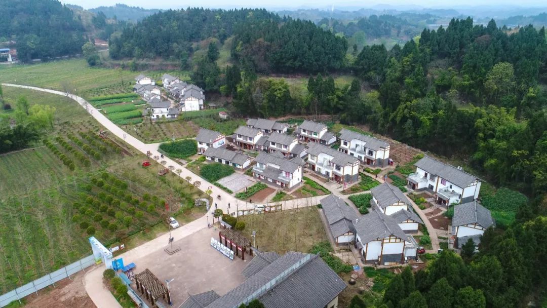 简阳电视台现场直播中华龙舟赛,中华龙舟大赛成都简阳站