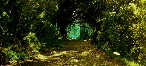 闪购|网红风扇专场，二宝爸给你们找全了，这个夏天就靠它们啦