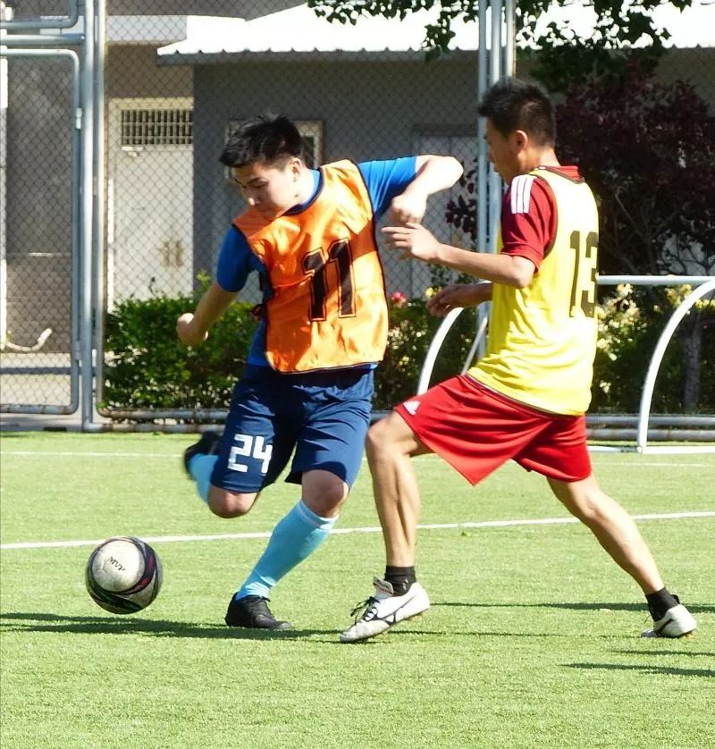 北京101中著名校友,北京101中校友