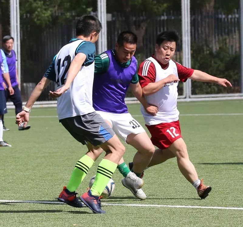 北京101中著名校友,北京101中校友