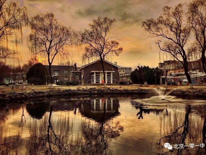 北京101中著名校友,北京101中校友