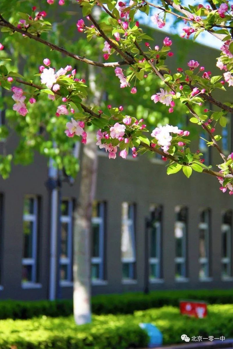 北京101中著名校友,北京101中校友