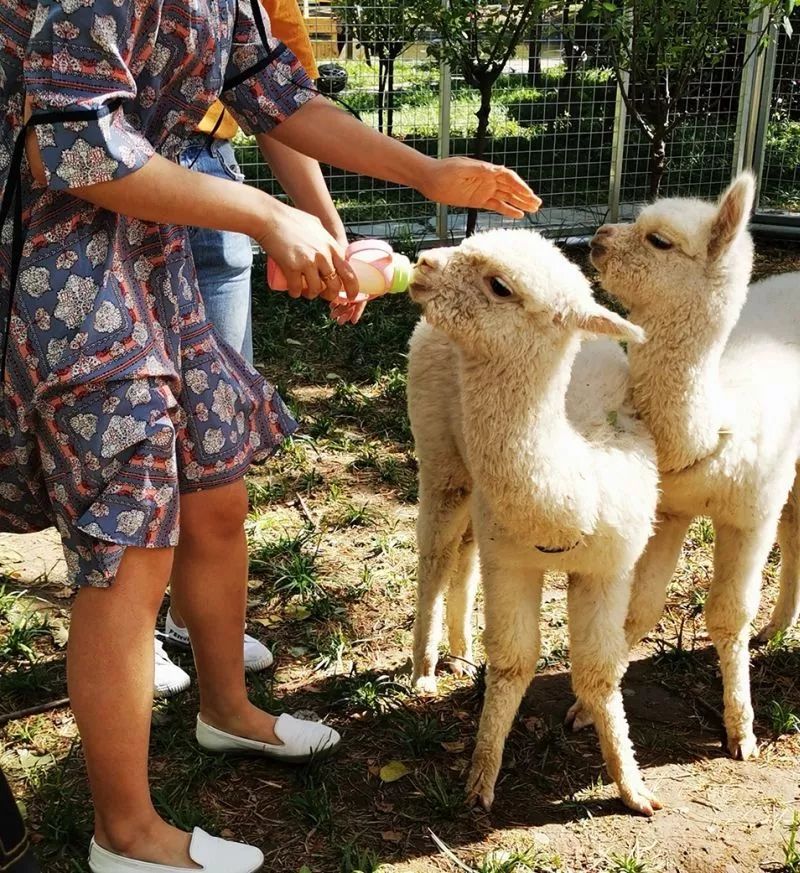 北京101中著名校友,北京101中校友