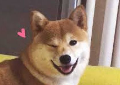 9600万个塑料球被扔进水库，竟是为了给水解毒？！