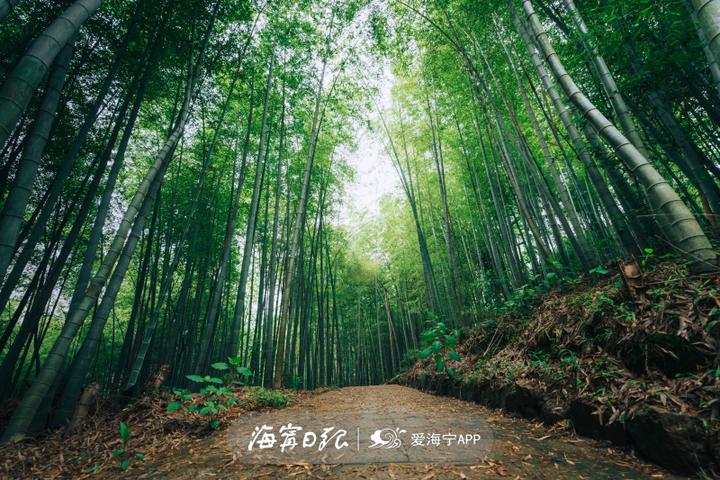 海宁最美绿道图,海宁大尖山登山步道