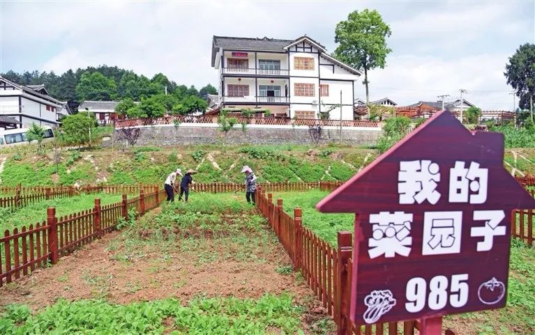 江州区多元化激活村级集体经济,为壮大村级集体经济打下坚实堡垒