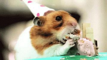 仓鼠的嘴巴是怎么塞下那么多食物,怎么看仓鼠嘴巴是不是藏食物了