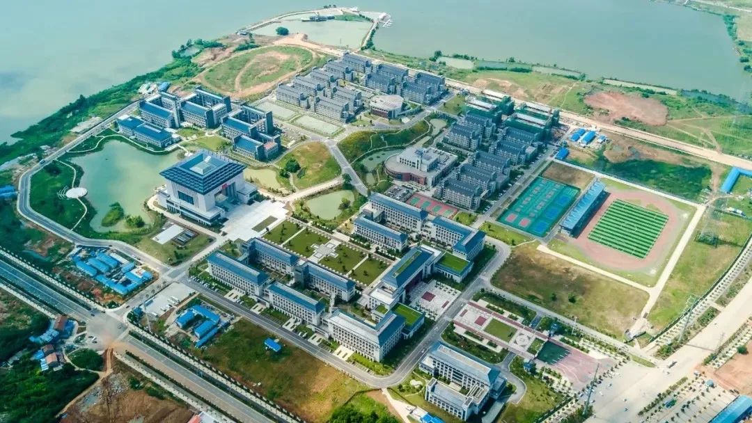 武汉学院陈一丹投资多少亿了,武汉这所大学为什么这么厉害