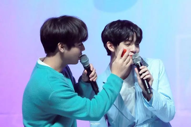 朴志训裴珍映南韩神颜,朴志训裴珍映粉玫瑰