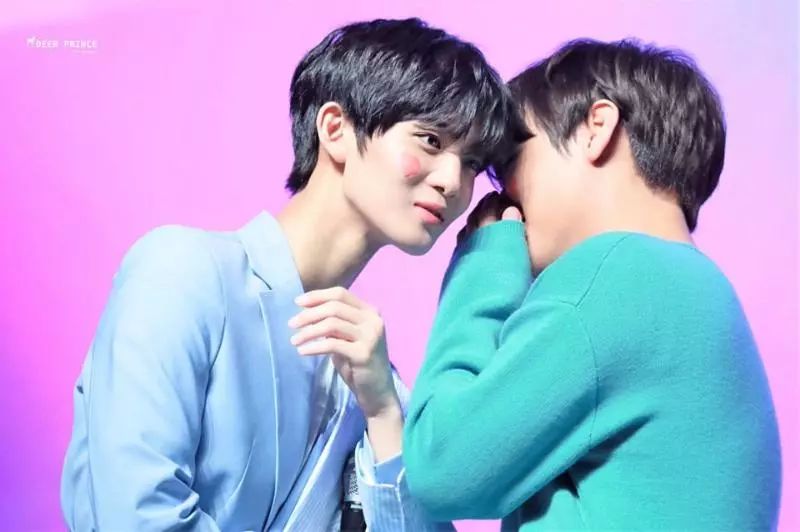 朴志训裴珍映南韩神颜,朴志训裴珍映粉玫瑰