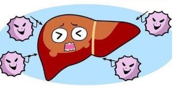 喝酒伤肝的权威研究,突破肝硬化防治新难关