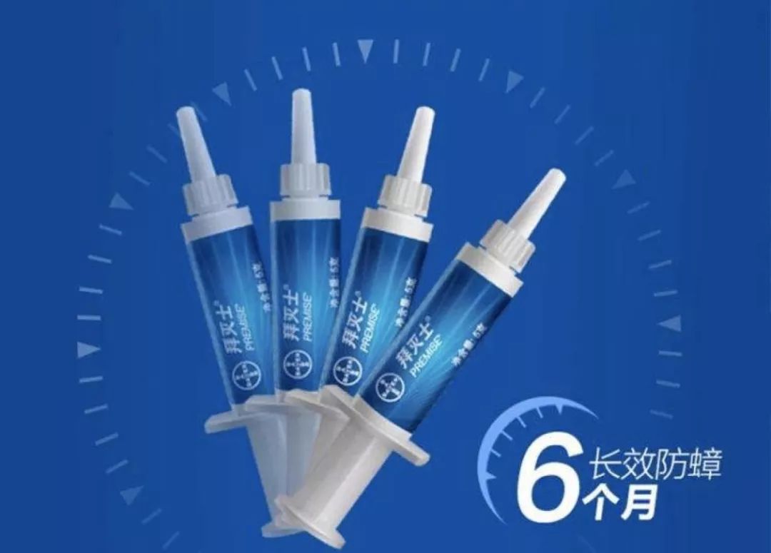 想要消灭家里蟑螂,家里有蟑螂可以请专业人士来灭吗