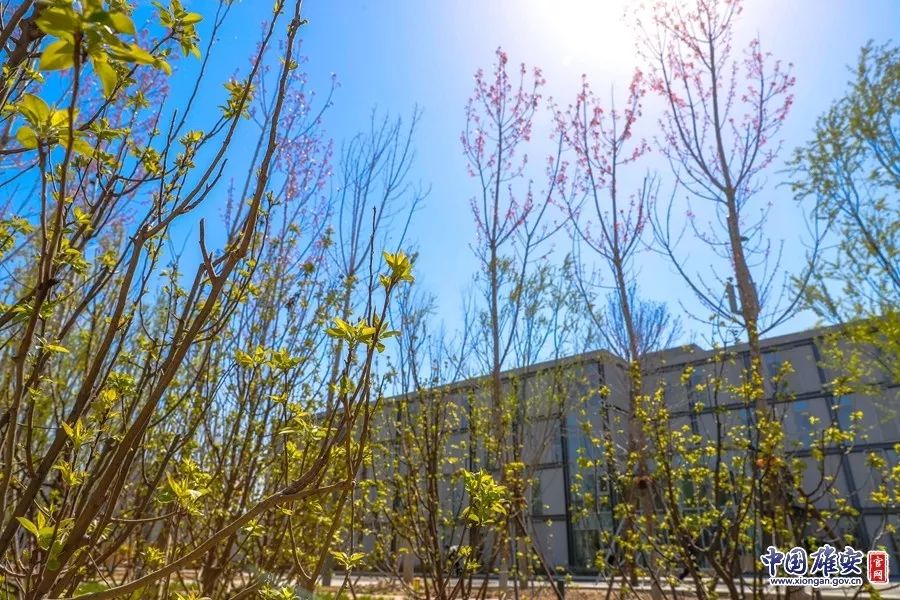 儿童节短诗,每日一诗生日