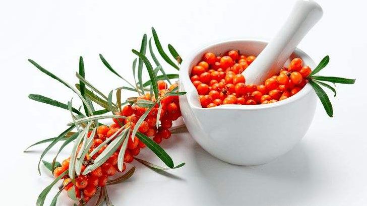 串串“酸溜溜”化作颗颗“金豆豆”——左云县沙棘产业映红农民“致富路”