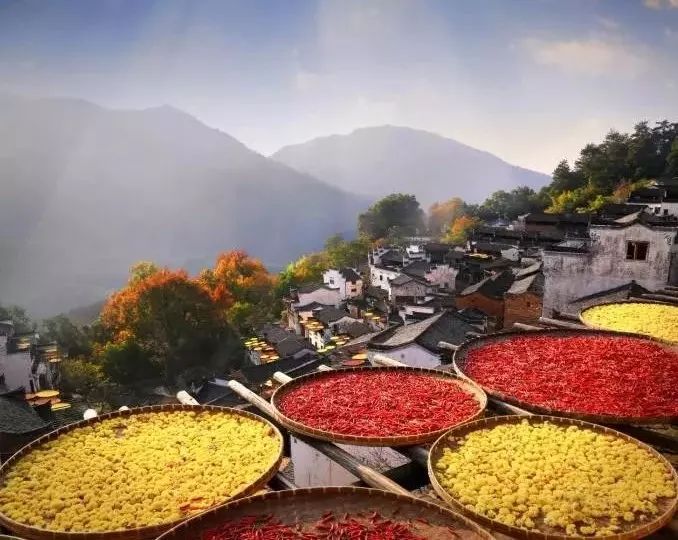 在婺源篁岭遇见一个充满诗意的春,在婺源