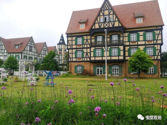 街道龙舟赛视频,龙舟嘉年华集市