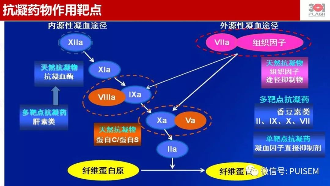 精彩幻灯｜朱海燕：血液净化的抗凝治疗