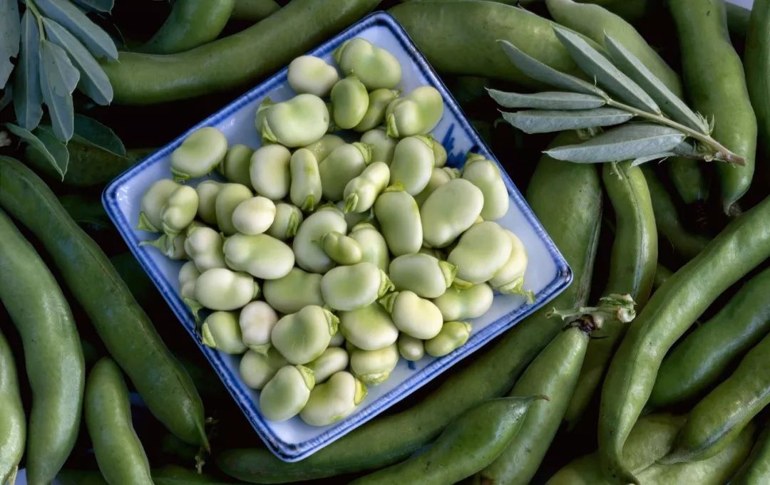 蚕豆病吃了蚕豆会有什么后果,吃蚕豆患病