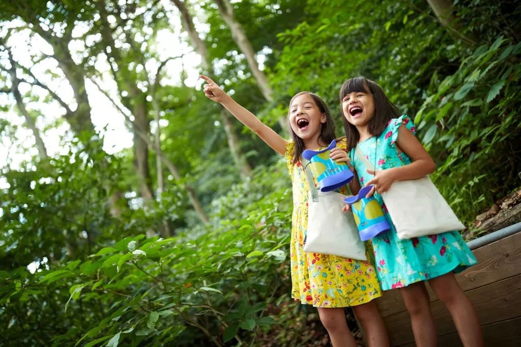 花火大会免费观赏位,花火大会观赏位