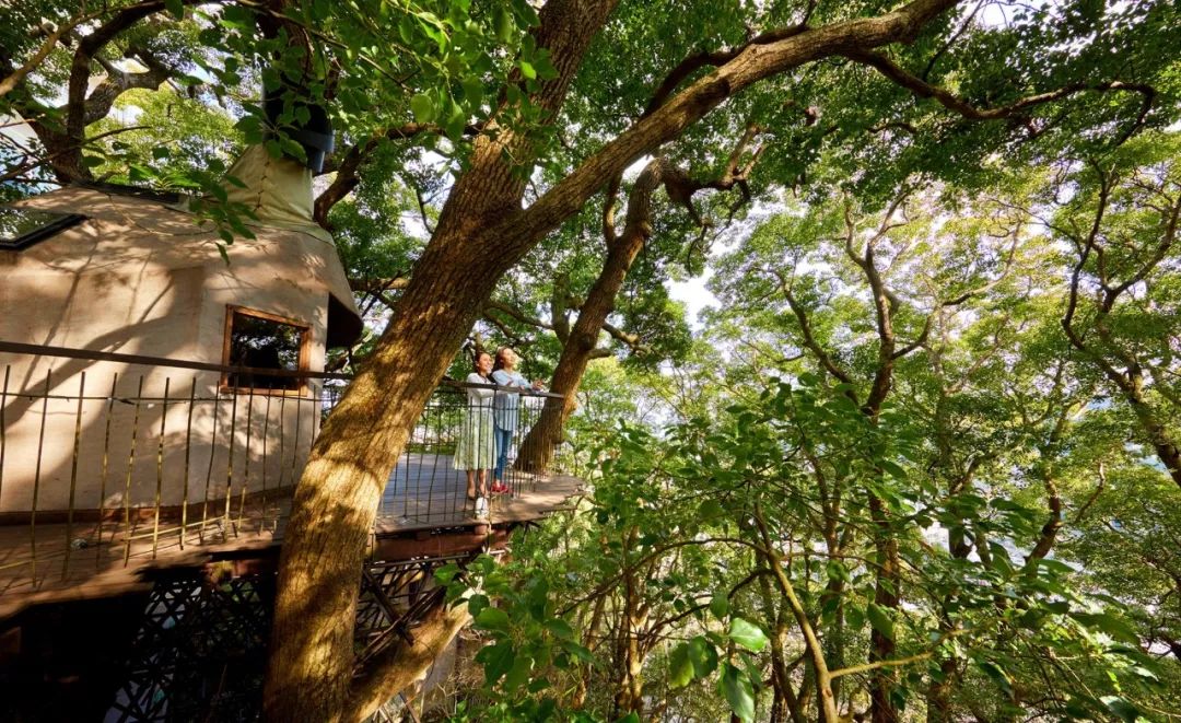 花火大会免费观赏位,花火大会观赏位