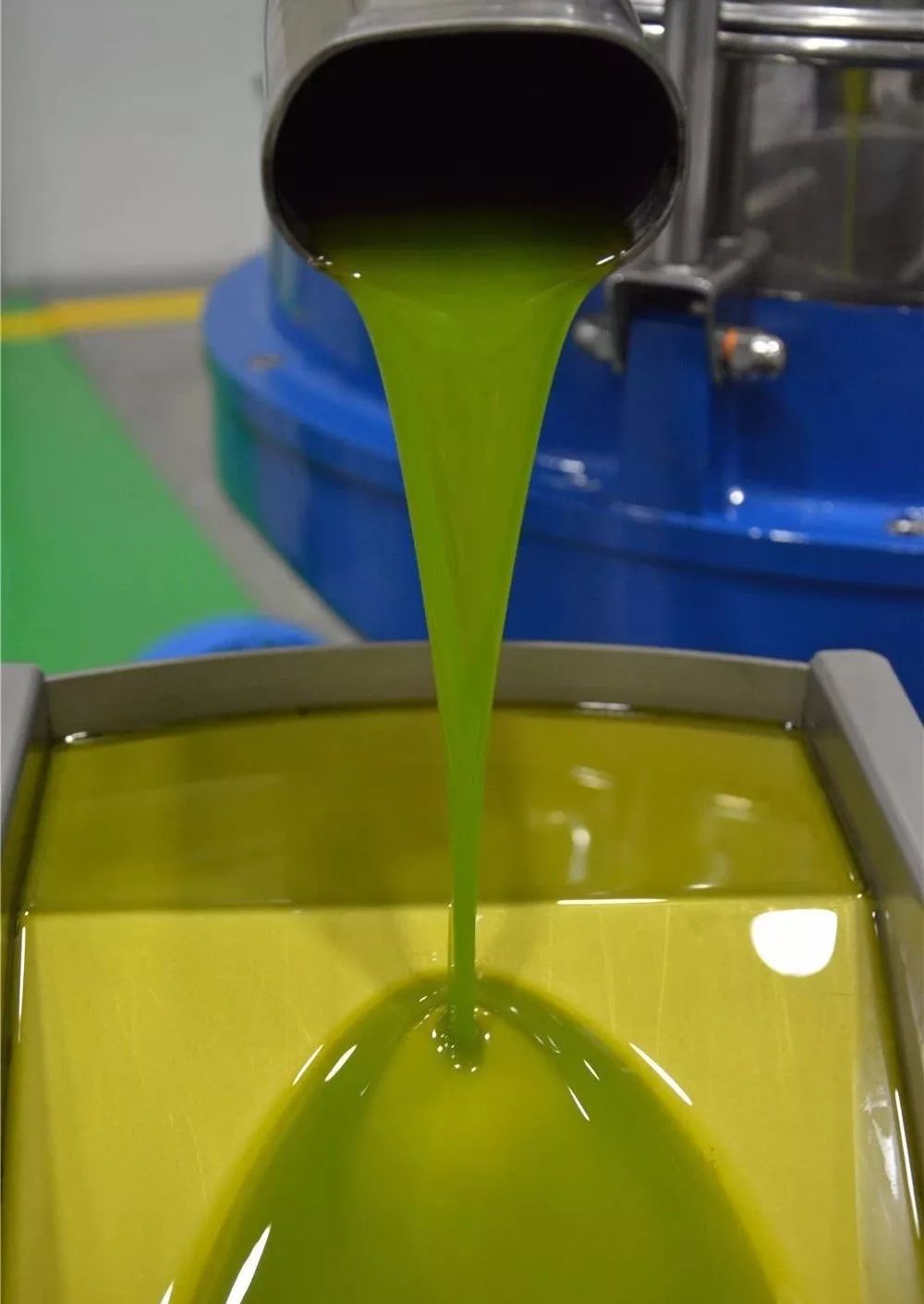 【每日一品】武都橄榄油，液体黄金的秘密都在这里了