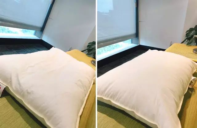 丹麦皇家乳胶枕头,丹麦珊瑚绒枕头