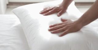 丹麦皇家乳胶枕头,丹麦珊瑚绒枕头