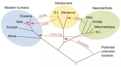 8亿男人都是11个帝王的后代？中国人到底是不是本土进化来的？答案令人惊诧！